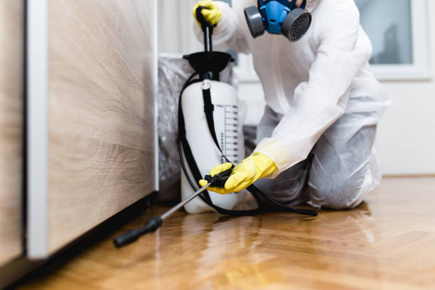 Professional Pest Control in Edgefield, SC