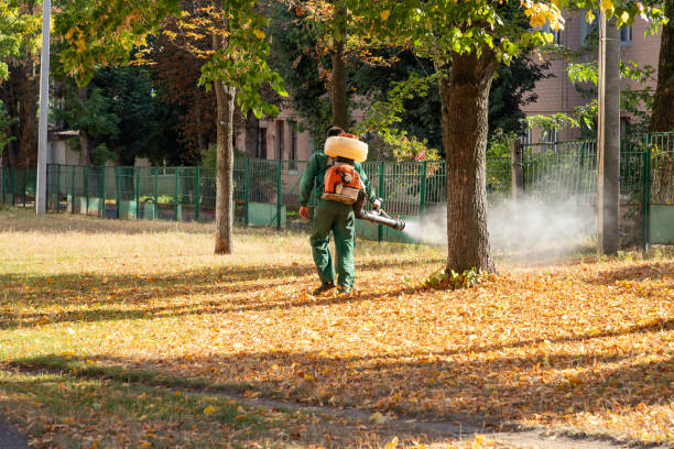 Pest Control for Restaurants in Edgefield, SC