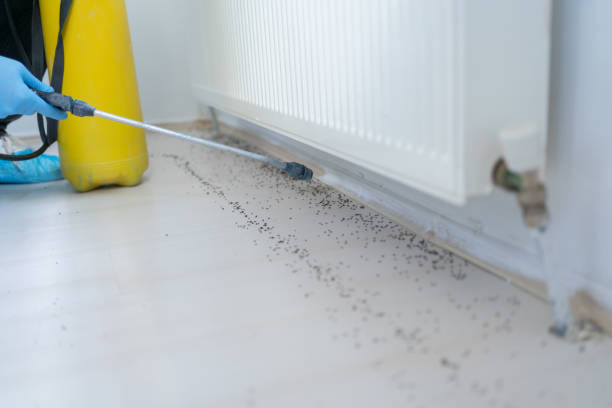 Best Exterminator Services  in Edgefield, SC